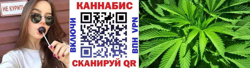 Шишки марихуана план  Новоульяновск 